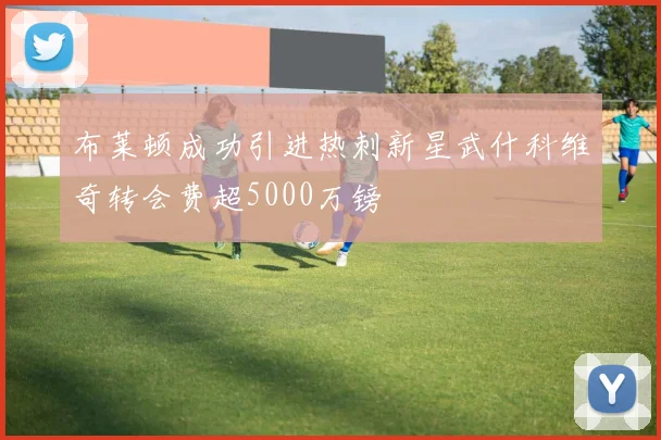 布莱顿成功引进热刺新星武什科维奇转会费超5000万镑